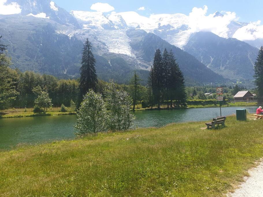 Garden Flat With A View Of Mont-blanc - Reference Xepkmm Apartamento